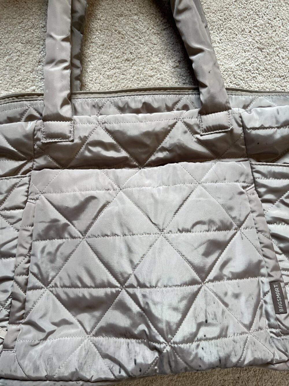 Bagsmart Tote Bag (Project Piece Ink Stained -Storage for Gardending Tools?)